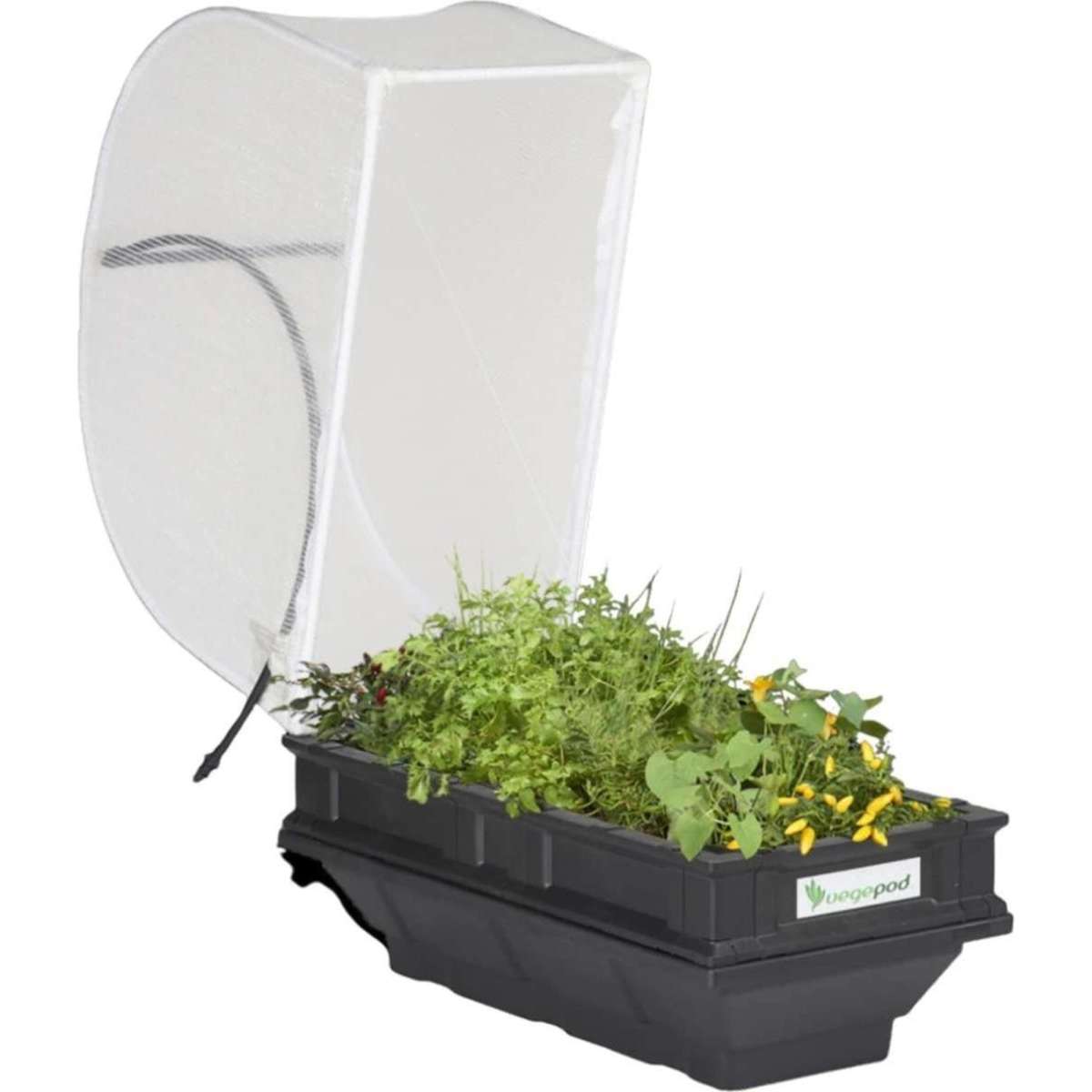 Vegepod Small Raised Garden Bed with VegeCover 0.5m x 1m Woolworths