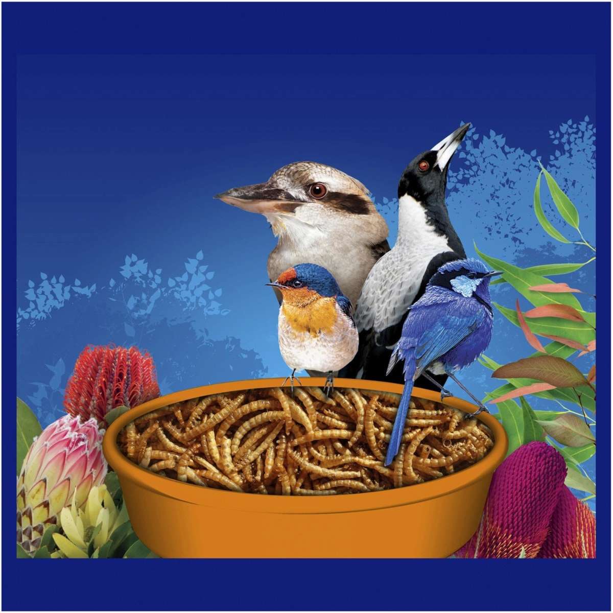 Harmony Mealworms 220g Woolworths