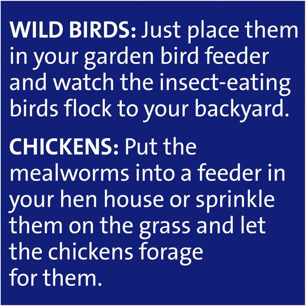 Harmony Mealworms 220g Woolworths