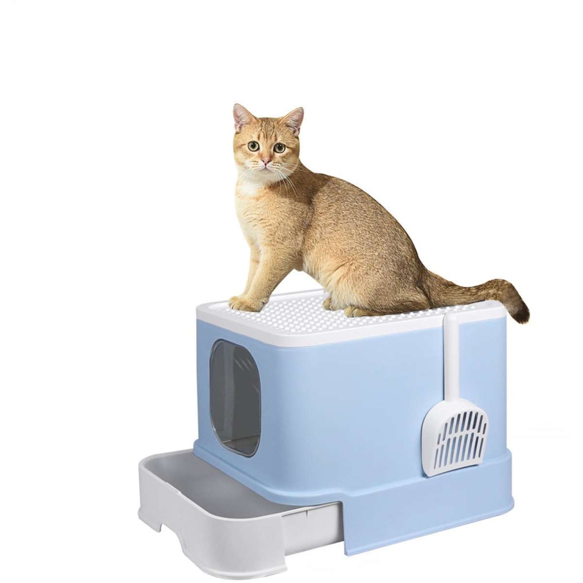 Pawz Cat Litter Box Fully Enclosed Kitty Toilet Trapping Odor Control 