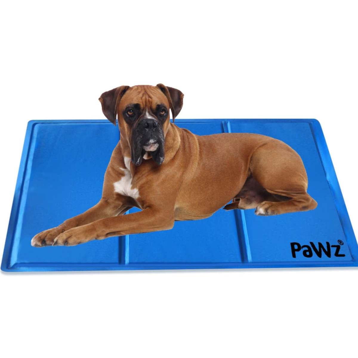 PaWz Pet Cooling Mat Gel Mats Bed Cool Pad Puppy Cat NonToxic Summer