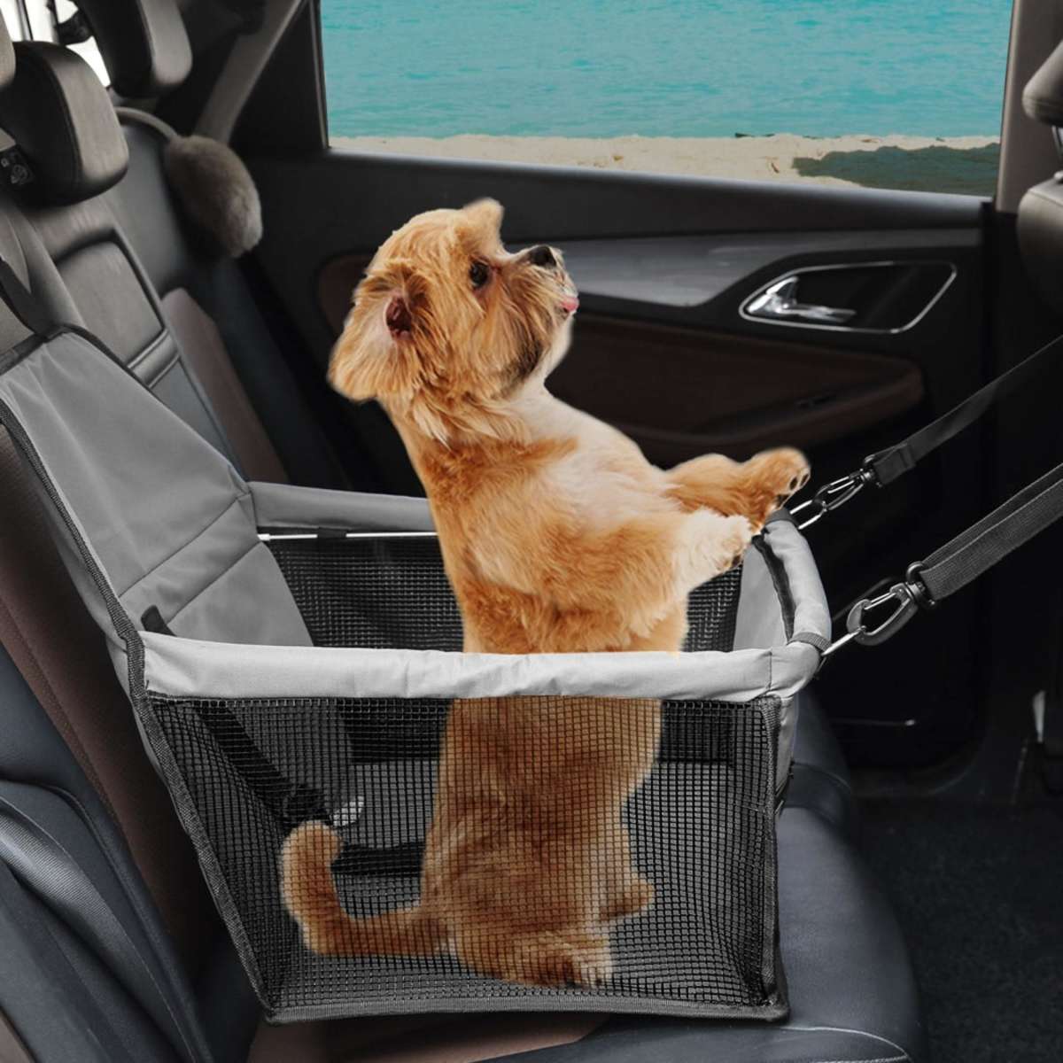 PaWz Pet Car Booster Seat Puppy Cat Dog Auto Carrier Travel Protector