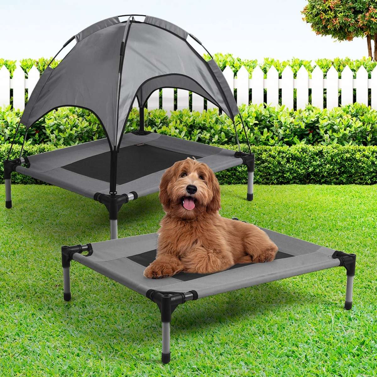 PaWz Pet Trampoline Bed Dog Cat Elevated Hammock With Canopy Raised Heavy Duty S Woolworths