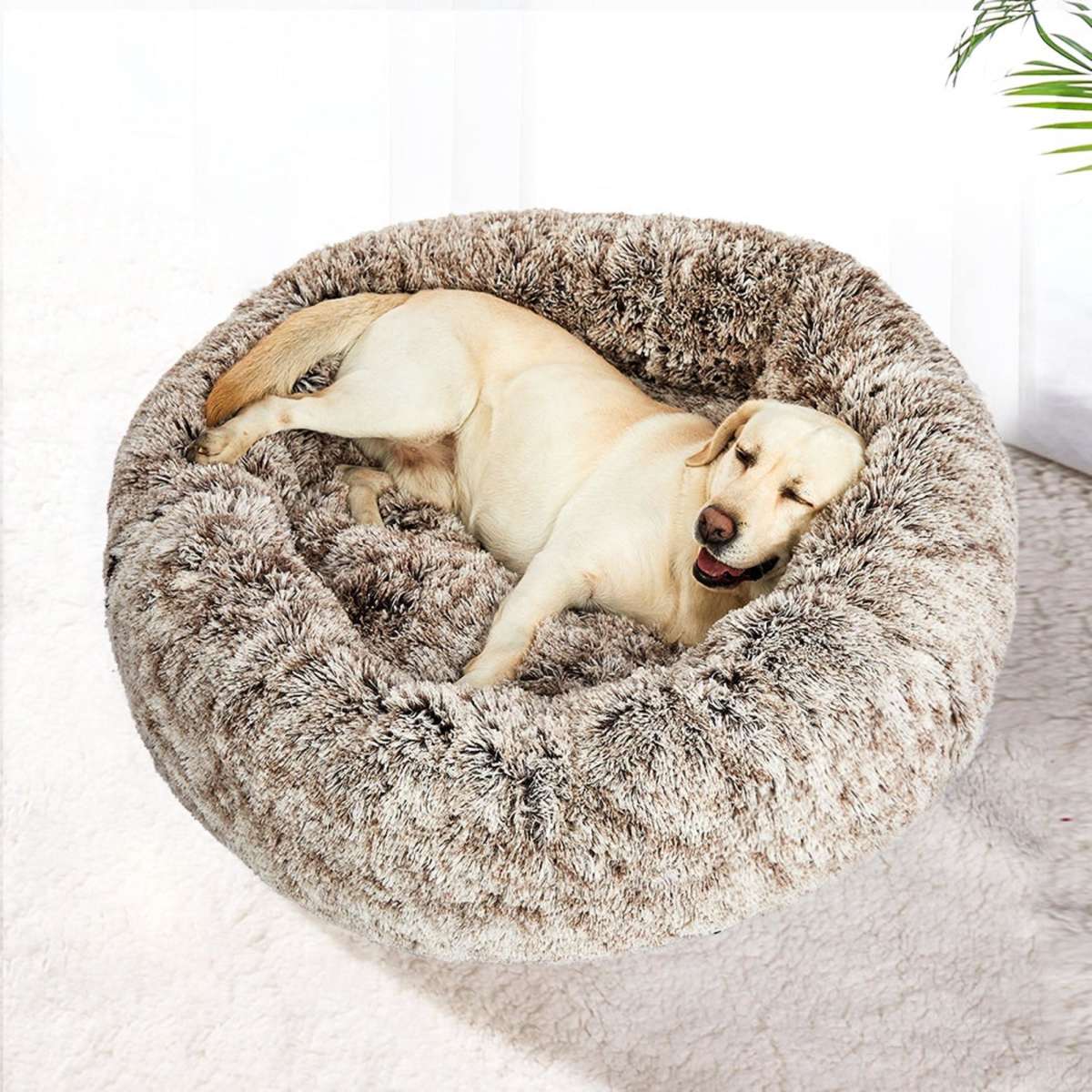 PaWz Replaceable Cover For Dog Calming Bed Kennel Round Nest Cave AU Coffee M Woolworths
