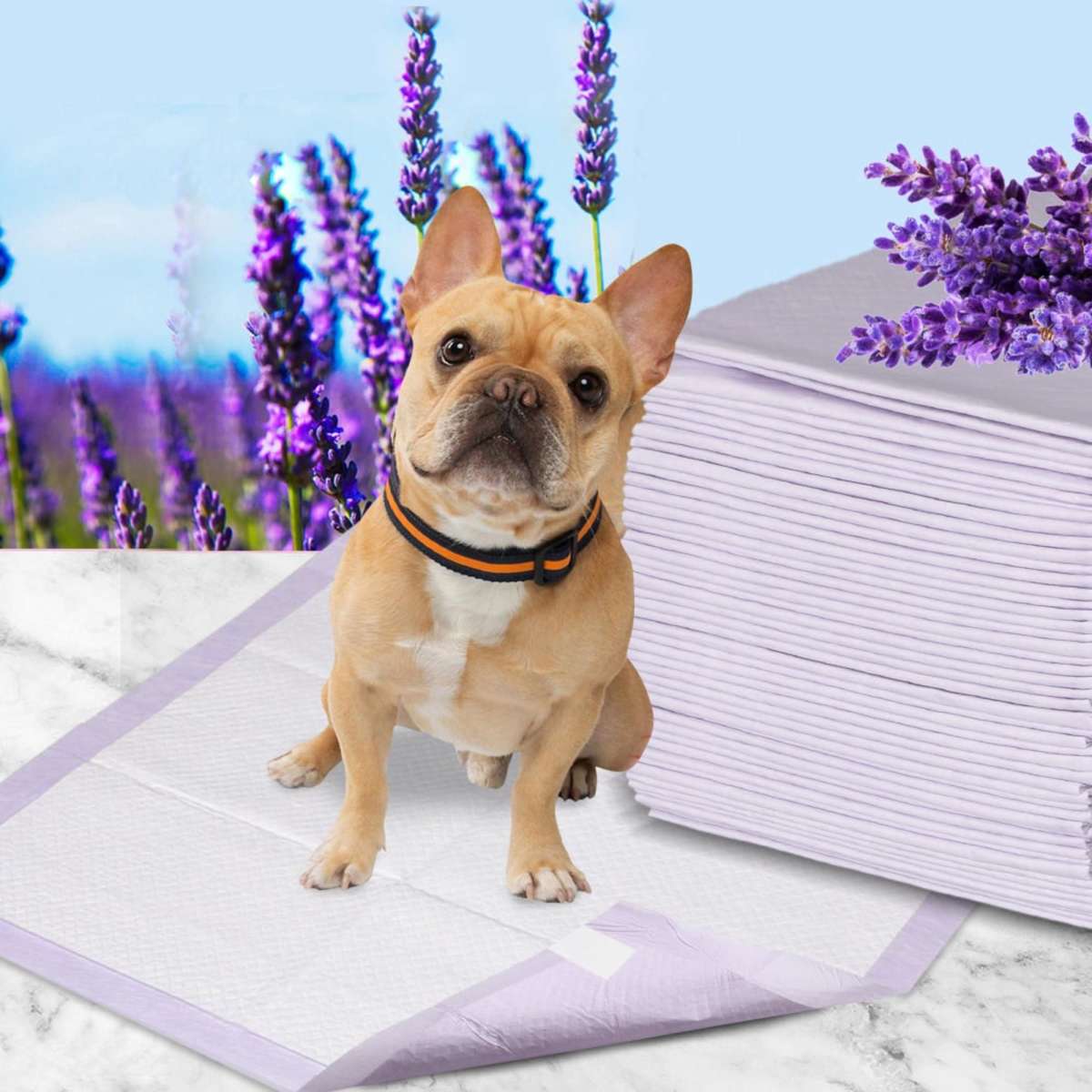 PaWz 400x Pet Dog Toilet Training Pad Puppy Potty Pee Mat Super Absorbent60x60cm Woolworths