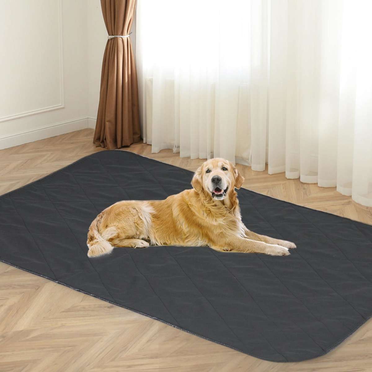 PaWz 2x Washable Dog Puppy Training Pad Pee Puppy Reusable Cushion King Grey Woolworths