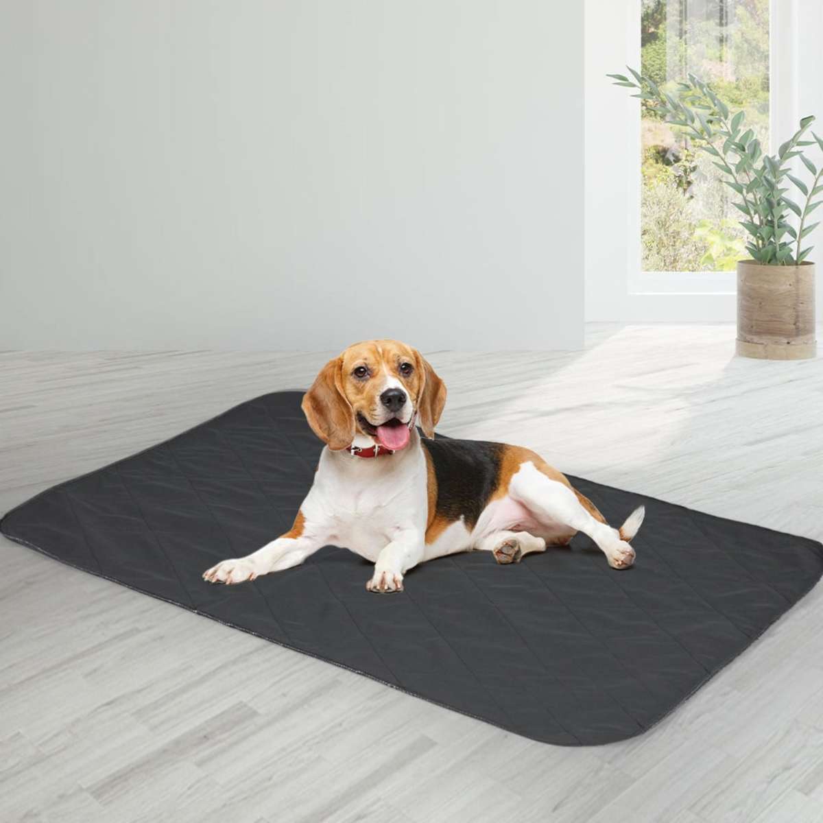 PaWz 2x Washable Dog Puppy Training Pad Pee Puppy Reusable Cushion XL ...