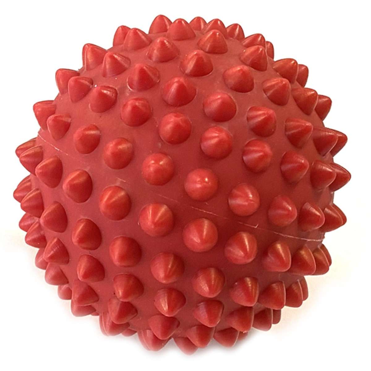 Aussie Dog Catch Ball Red Woolworths