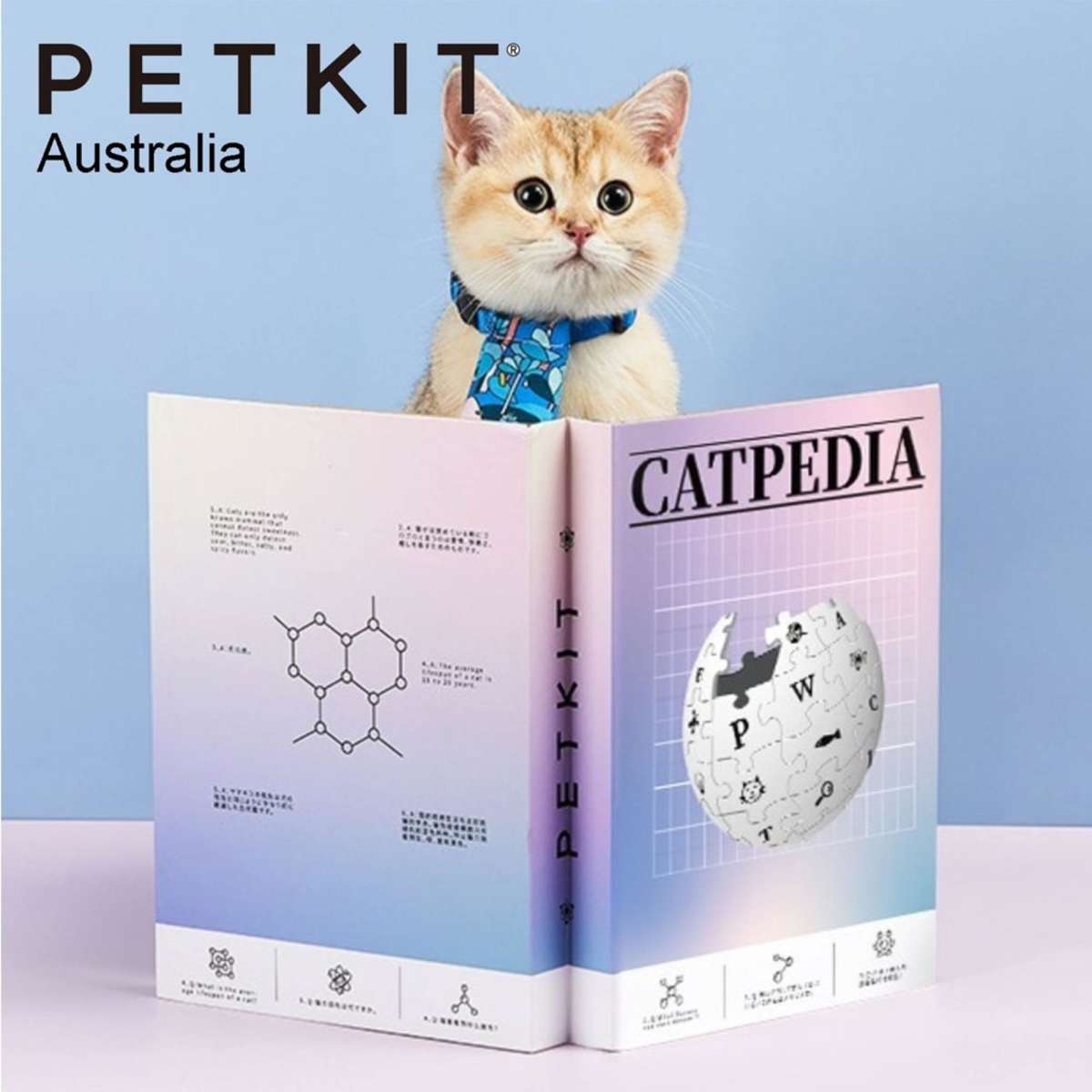 Petkit Catpedia Scratcher Book Blue Woolworths