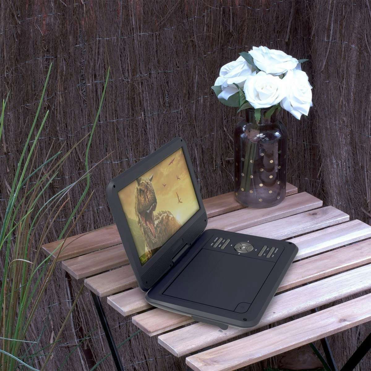 Laser 10inch Portable DVD Player Woolworths