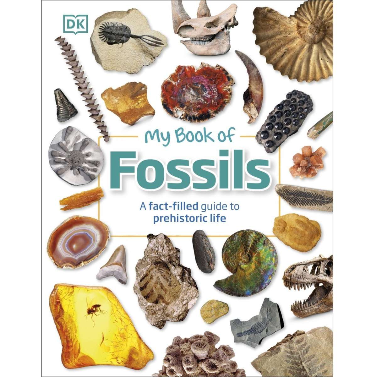 My Book of Fossils A factfilled guide to prehistoric life Woolworths
