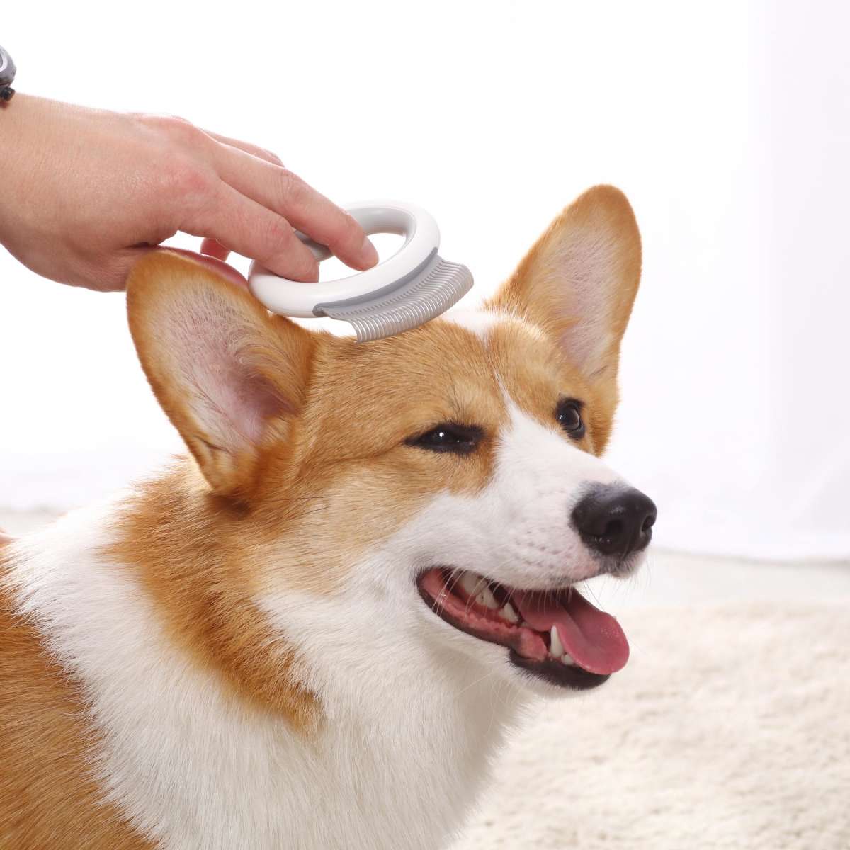 Charlie's Essential Pet Grooming Comb Grey Woolworths