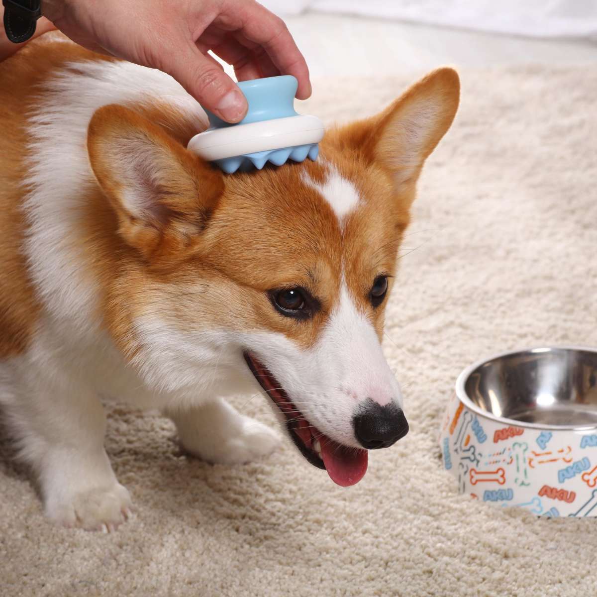 Charlie's Essential Pet Massage Comb Blue Woolworths