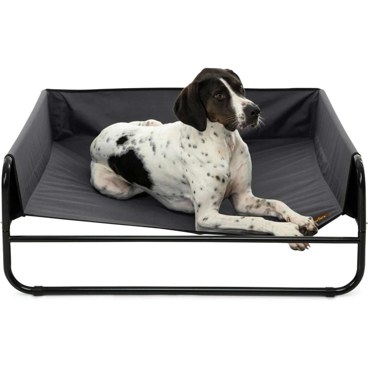 Charlie's High Walled Outdoor Trampoline Dog Bed Black Small Woolworths