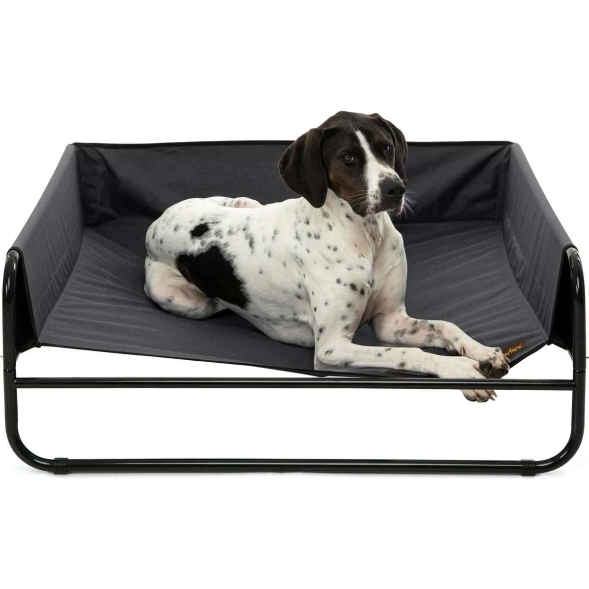 Charlie's High Walled Outdoor Trampoline Dog Bed Black Medium Woolworths