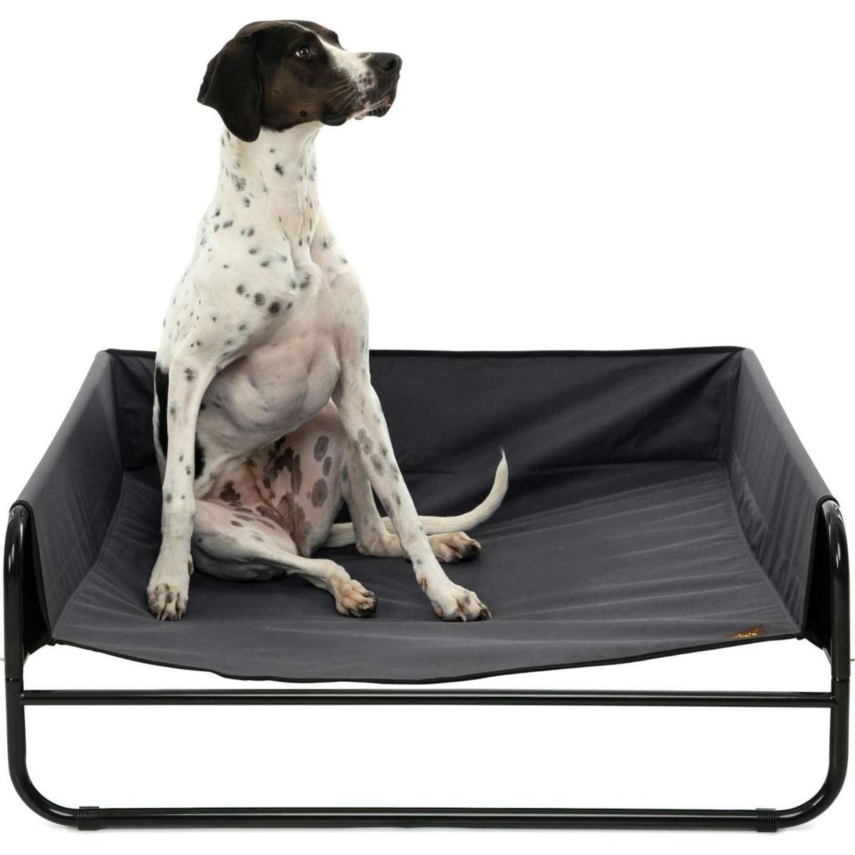 Charlie's High Walled Outdoor Trampoline Dog Bed Black Medium Woolworths