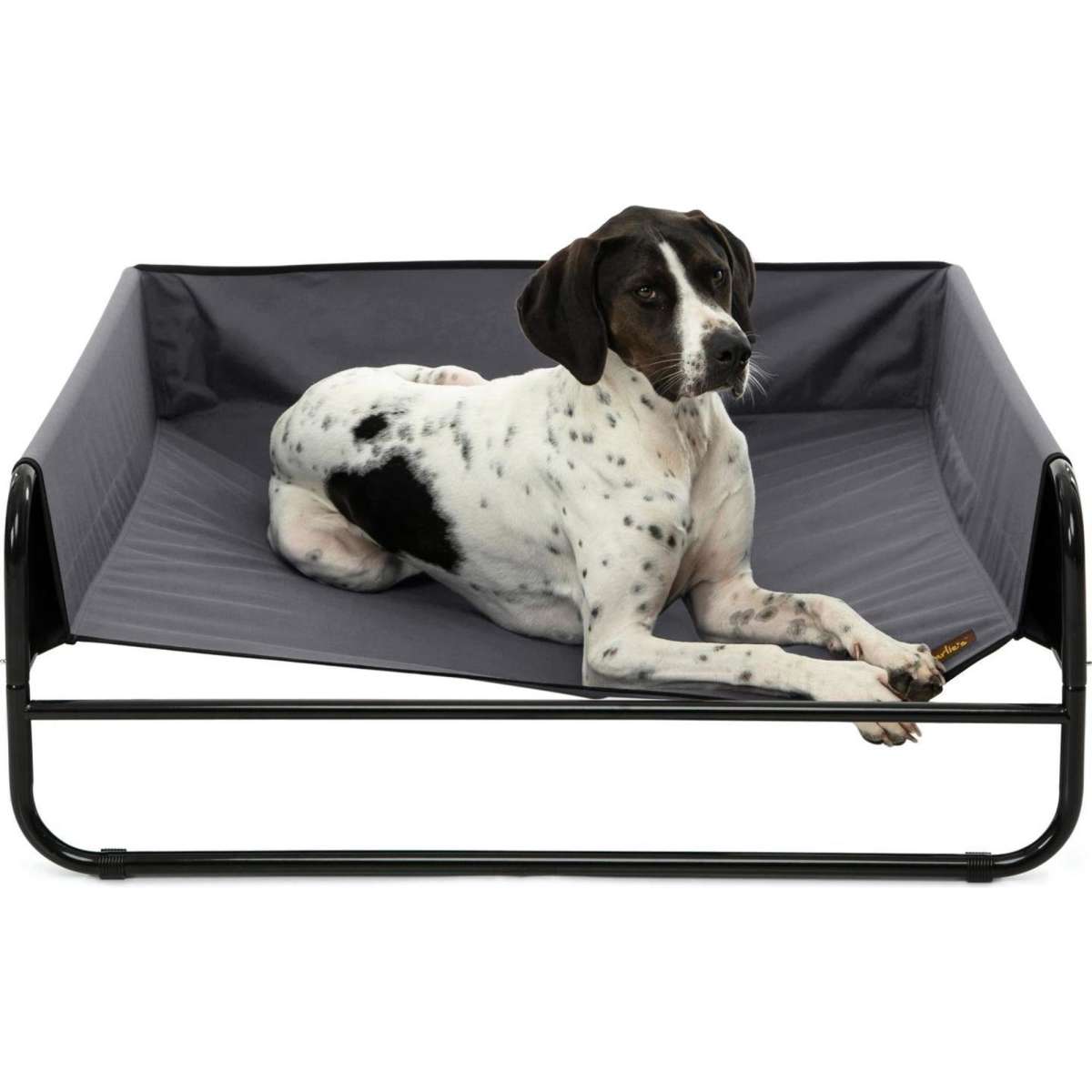 Charlie's High Walled Outdoor Trampoline Dog Bed Grey Small Woolworths