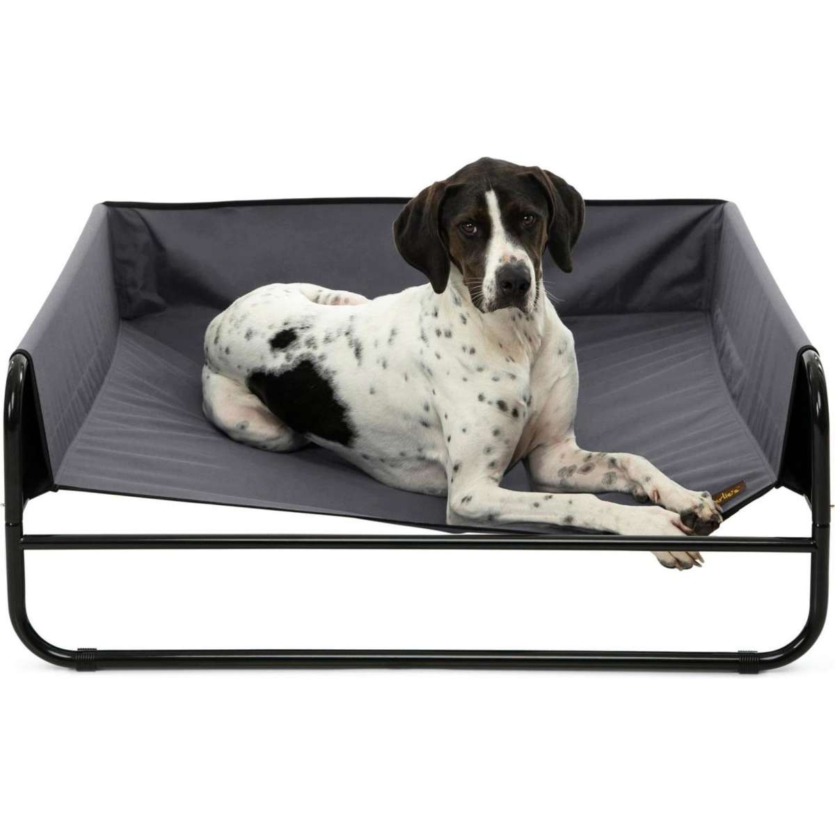 Charlie's High Walled Outdoor Trampoline Dog Bed Grey Large Woolworths