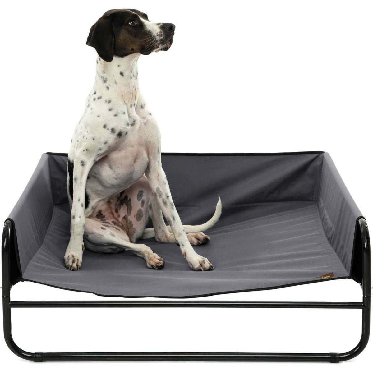 Charlie's High Walled Outdoor Trampoline Dog Bed Grey Large Woolworths