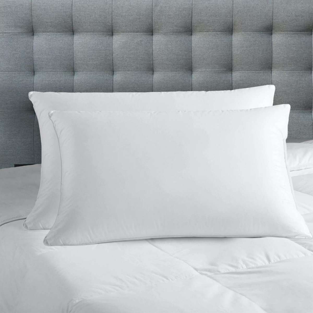 Royal Comfort Luxury Bamboo Blend Gusset Pillows 2 Pack Woolworths