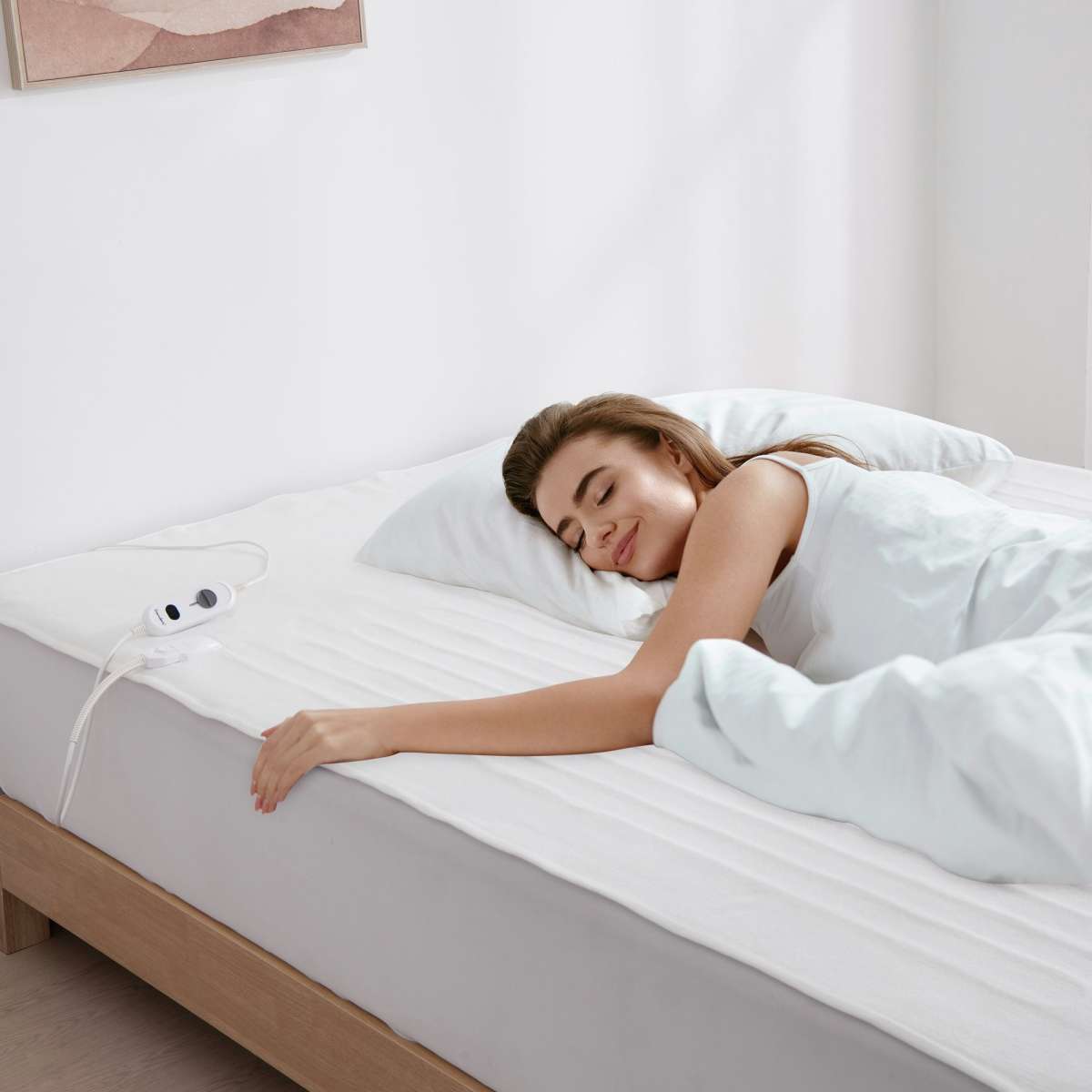 Dreamaker Washable Electric Blanket Single Bed Woolworths