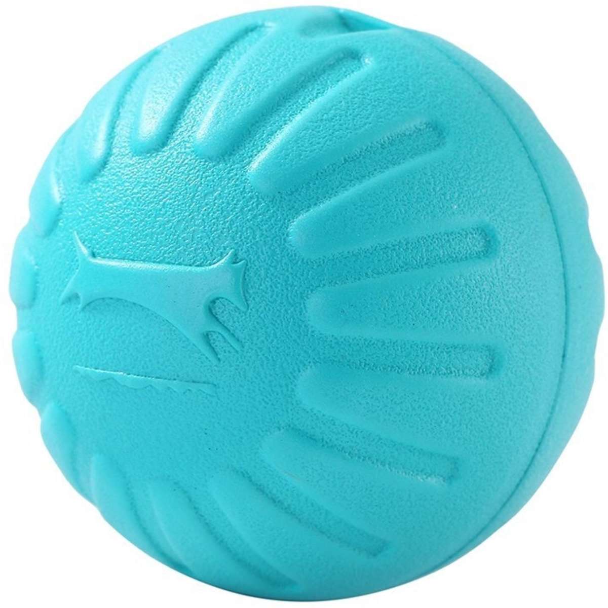 Paws & Claws Fetch N' Play Ball Pet/Dog Toy Aqua 9cm | Woolworths