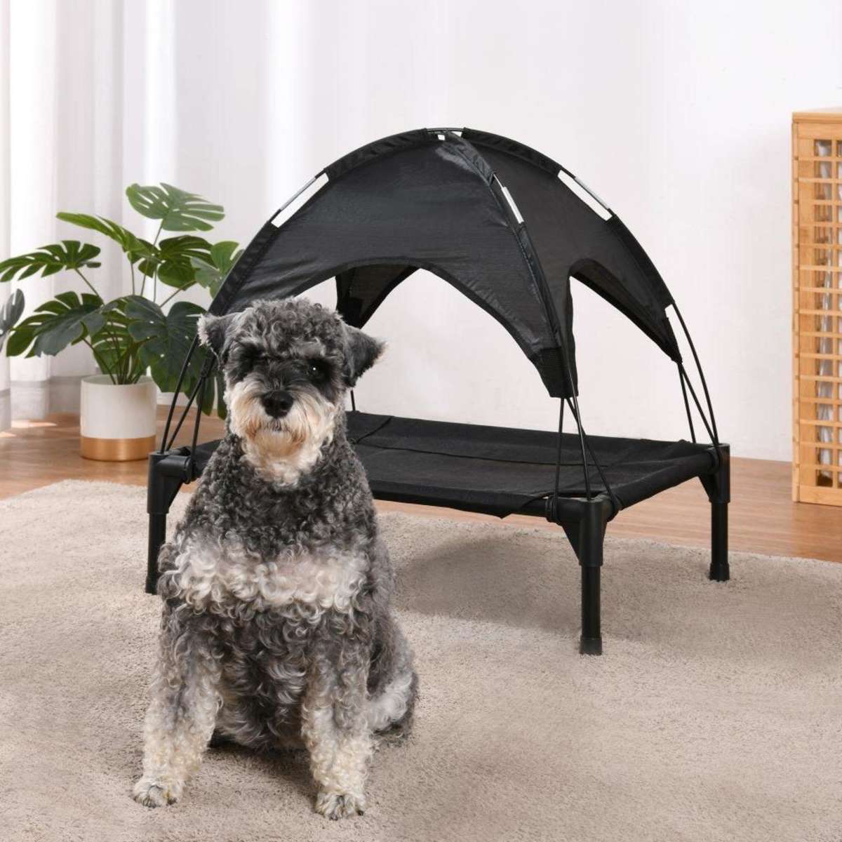 Charlie's Elevated Dog Bed With Tent Black Extra Large Woolworths
