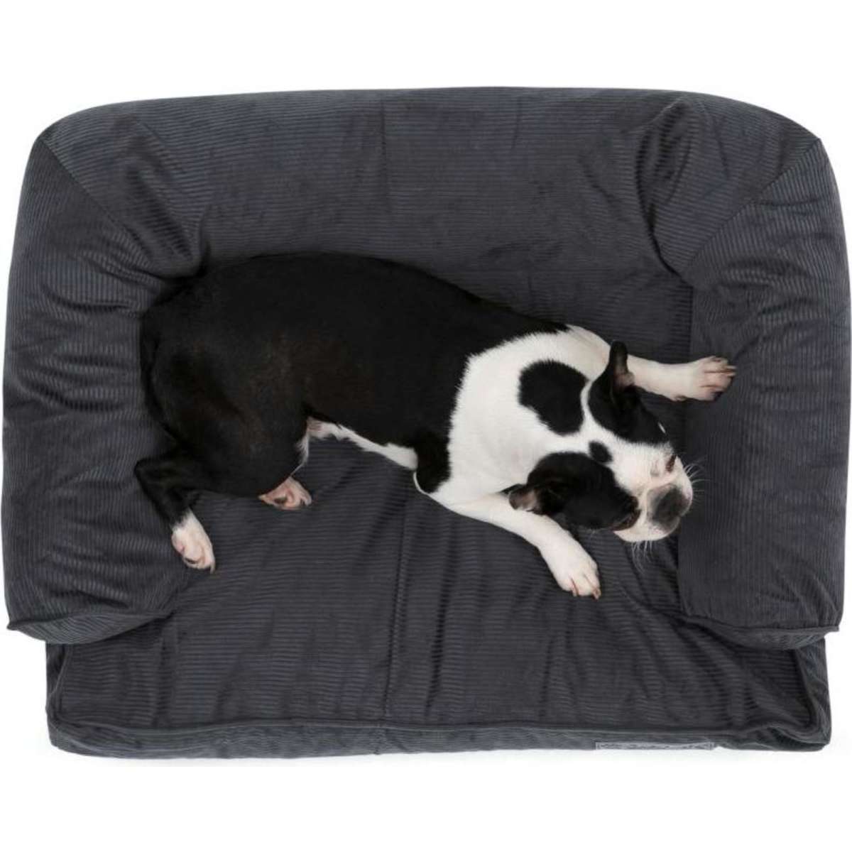 Charlie's Corduroy Dog Sofa Bed Charcoal Large Woolworths