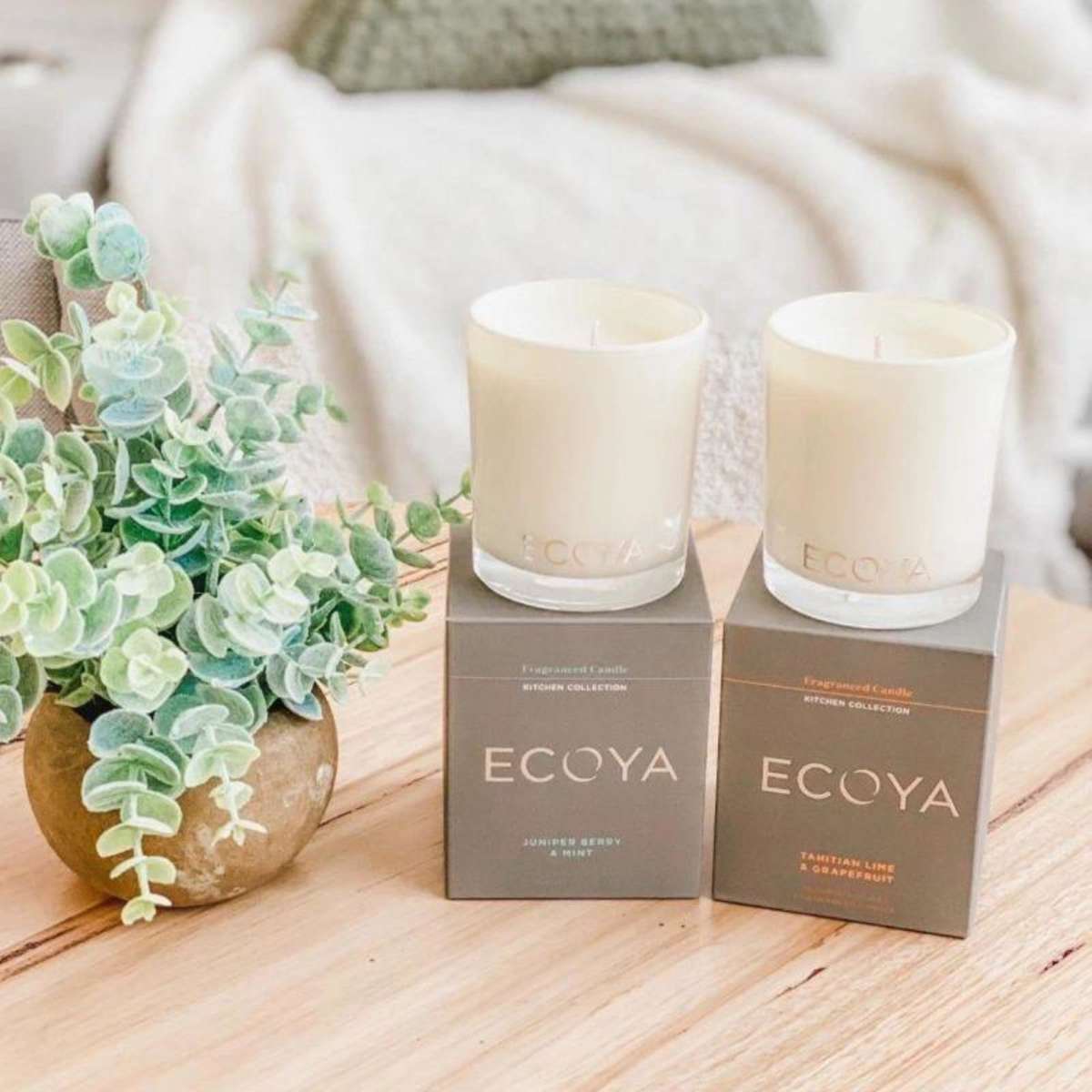 Ecoya Maisy Jar Candle 160g Tahitian Lime and Grapefruit 2 Pack