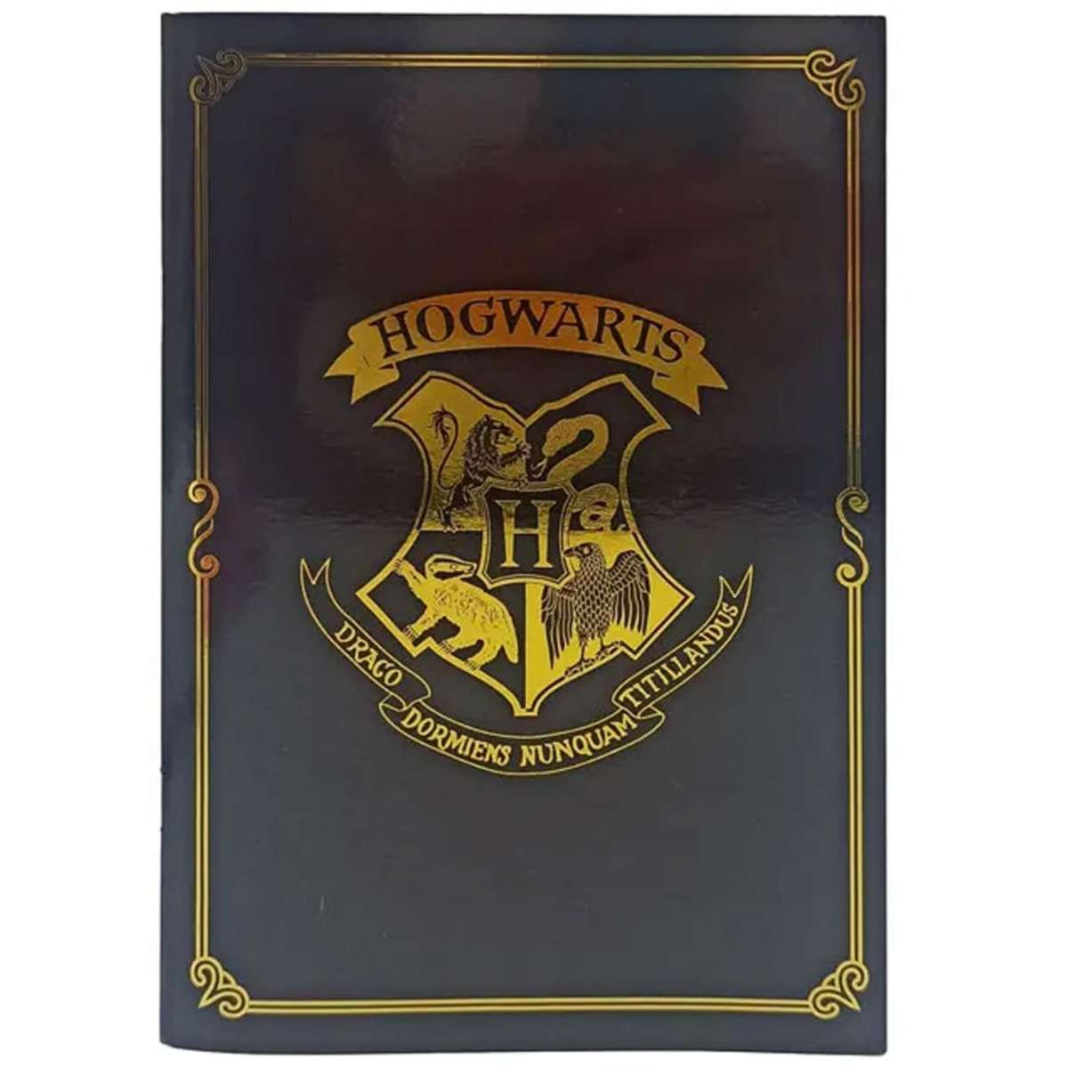 Harry Potter Showbag 21 | Woolworths