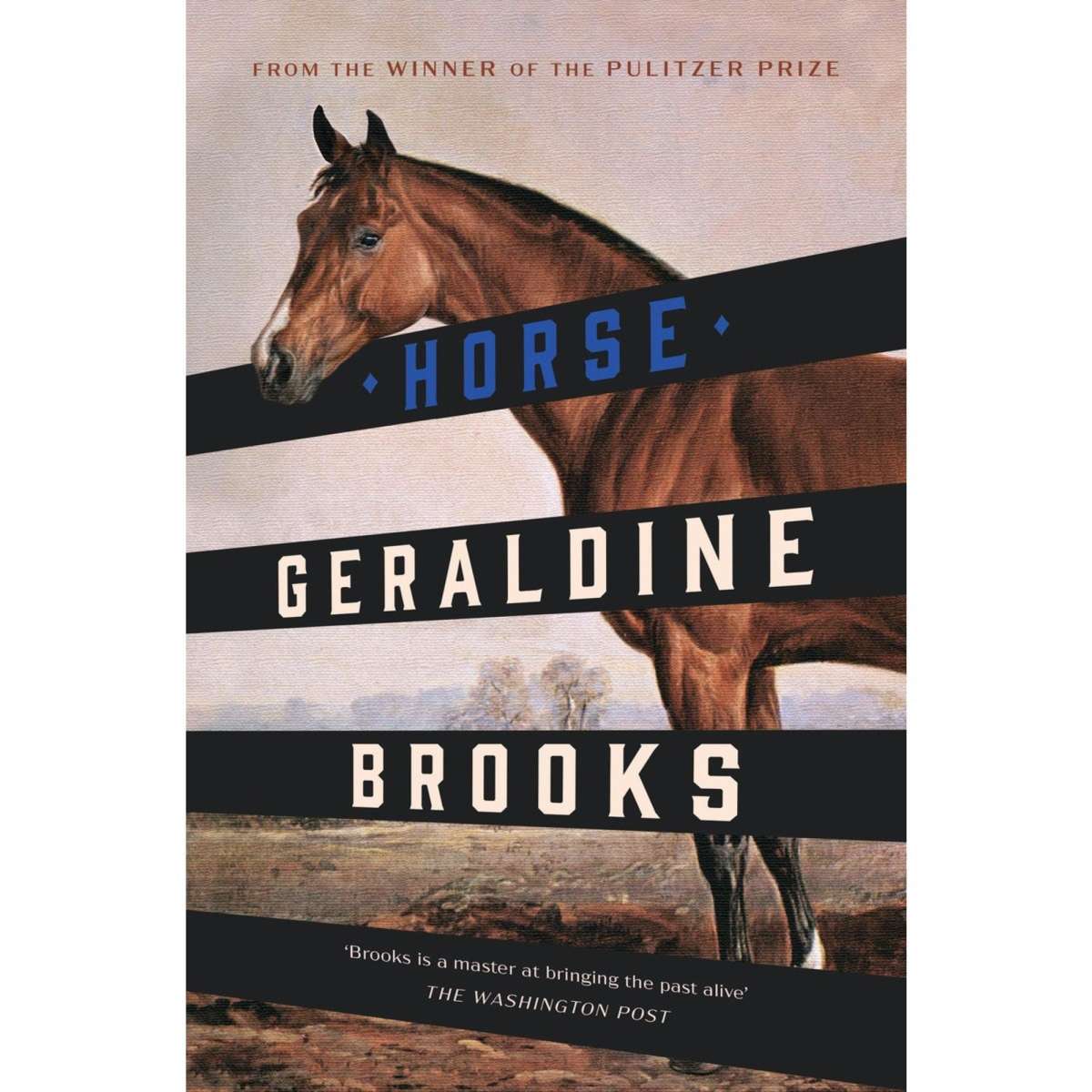 Horse By Geraldine Brooks | Woolworths