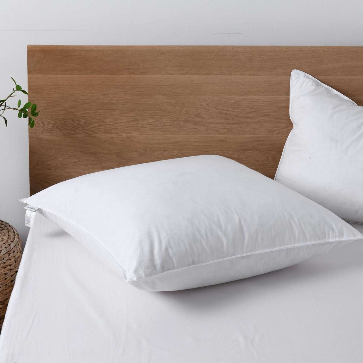 Dreamaker Goose Feather and Down Euro Pillow Woolworths