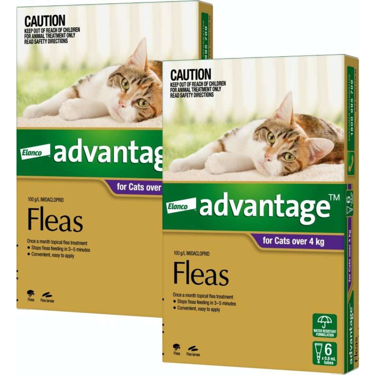 Advantage for Cats over 4kg (Purple) 2x6 Pack | Woolworths