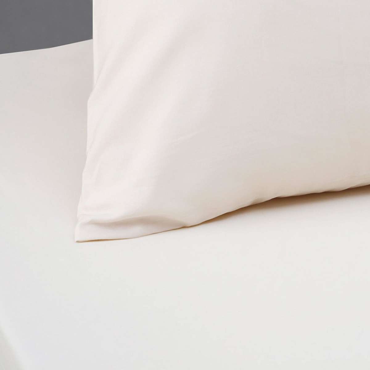 Bambury King Single Plain Dyed Fitted Sheet BONUS Pack Cream Woolworths