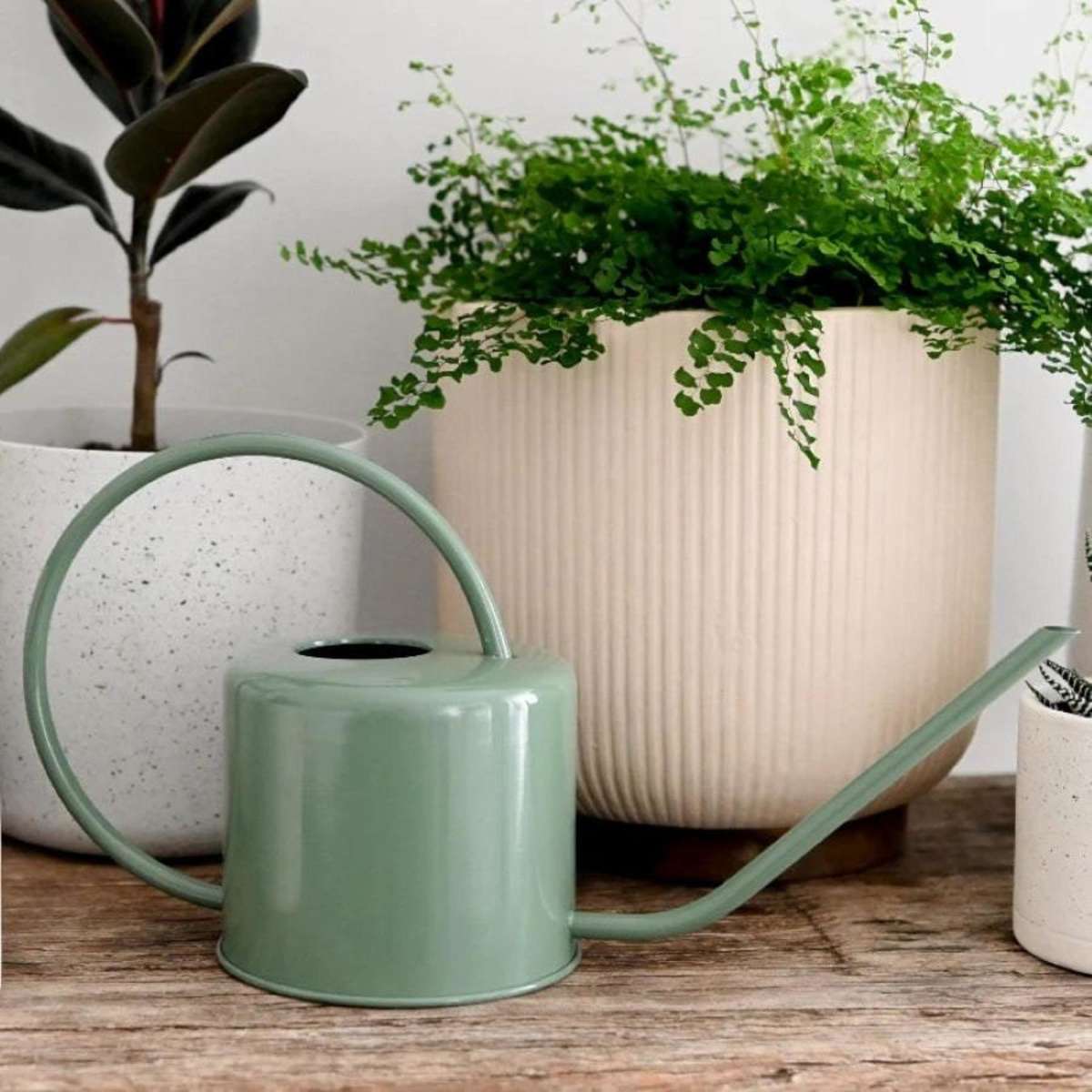 Hoselink Indoor Watering Can Woolworths