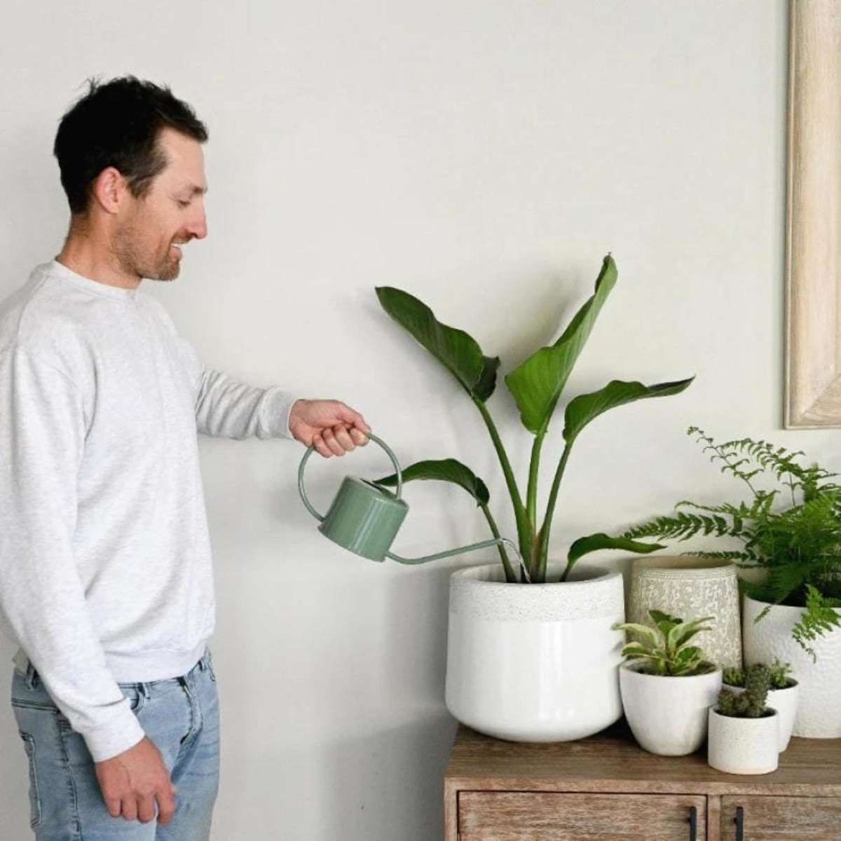 Hoselink Indoor Watering Can Woolworths