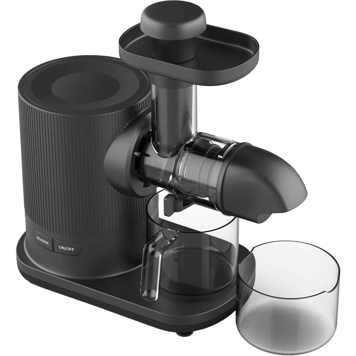 Healthy Choice Cold Press Slow Juicer with 500ml Juice & Pulp