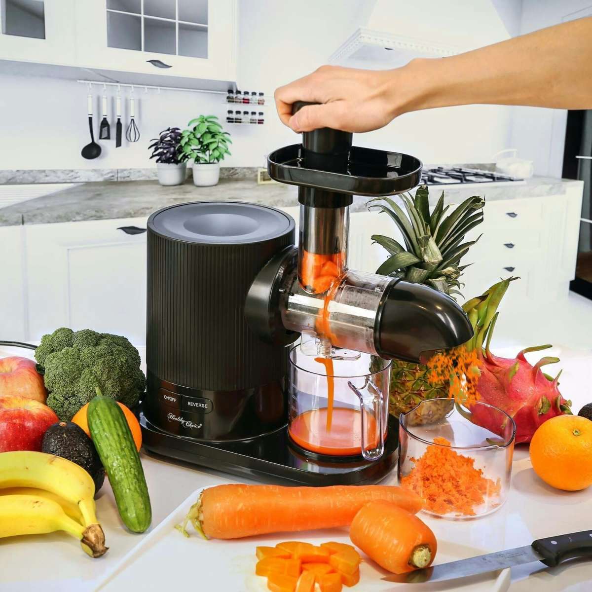 Healthy Choice Cold Press Slow Juicer with 500ml Juice & Pulp Containers (150W) Woolworths