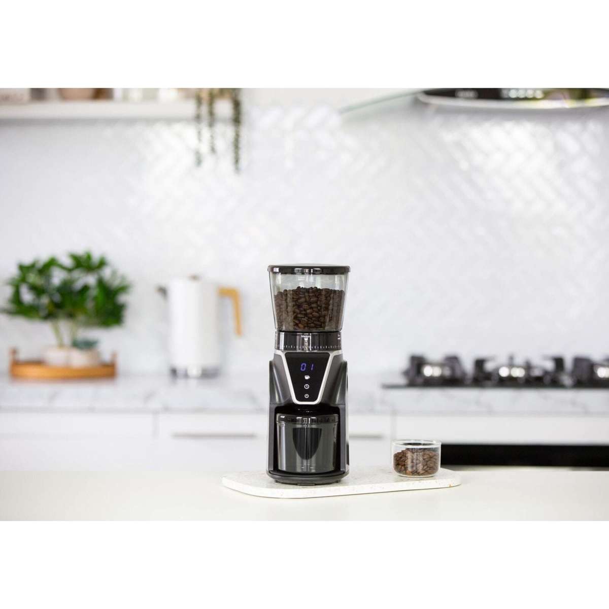 Healthy Choice Electric Burr Coffee Bean Grinder (10 Cups) with 31