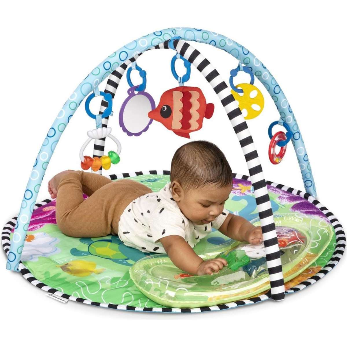 Baby einstein sea floor explorers 2 in 1 water mat play gym woolworths