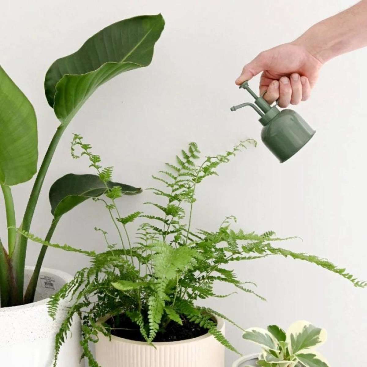 Hoselink Indoor Plant Mister Woolworths