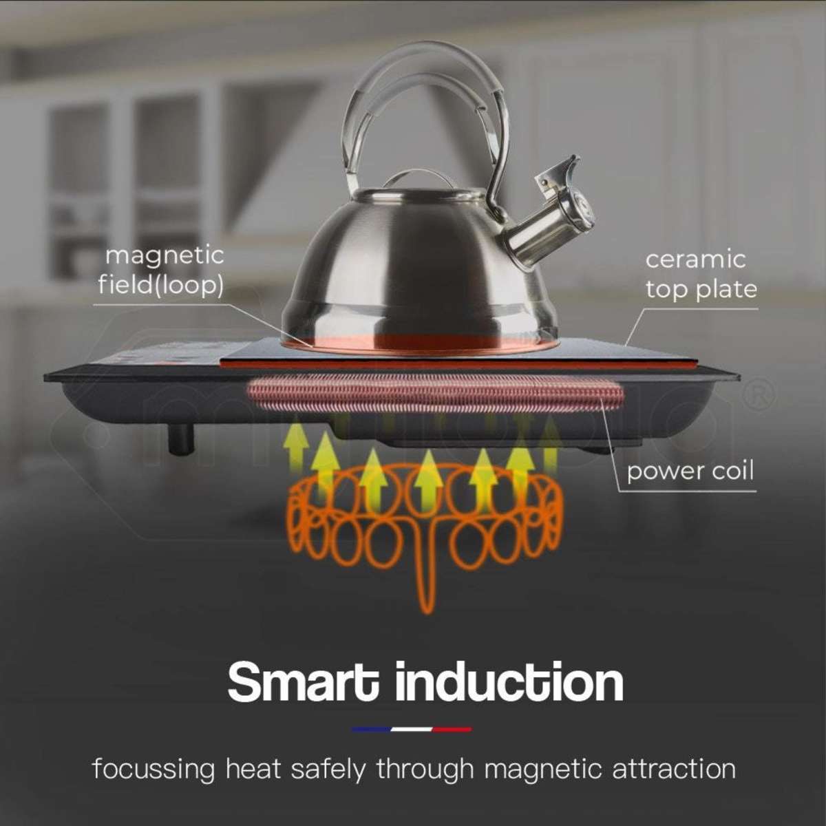 Eurochef Electric Induction Cooktop Portable Kitchen Ceramic Cooker