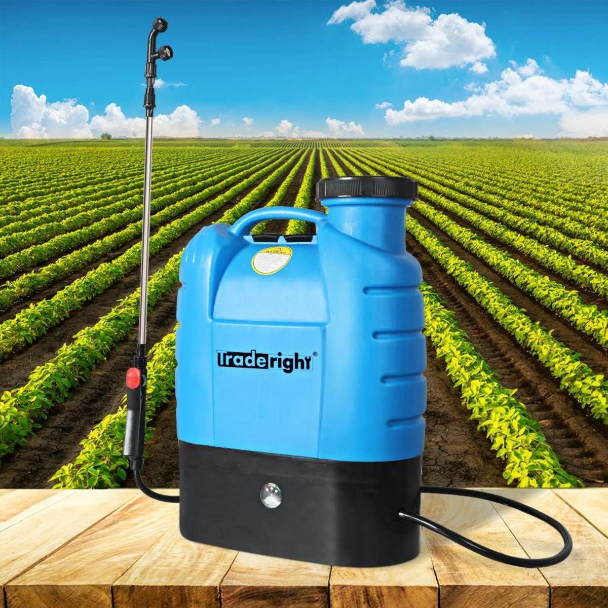 Traderight Electric Sprayer Rechargeable Battery Backpack Farm Garden