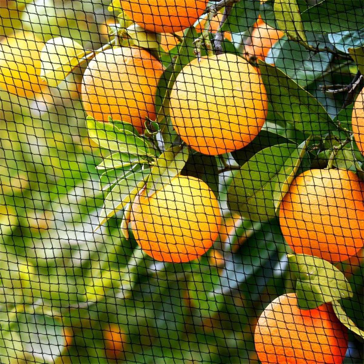 Instahut Bird Netting Net Anti Pest Commercial Fruit Trees Plant 10x50m