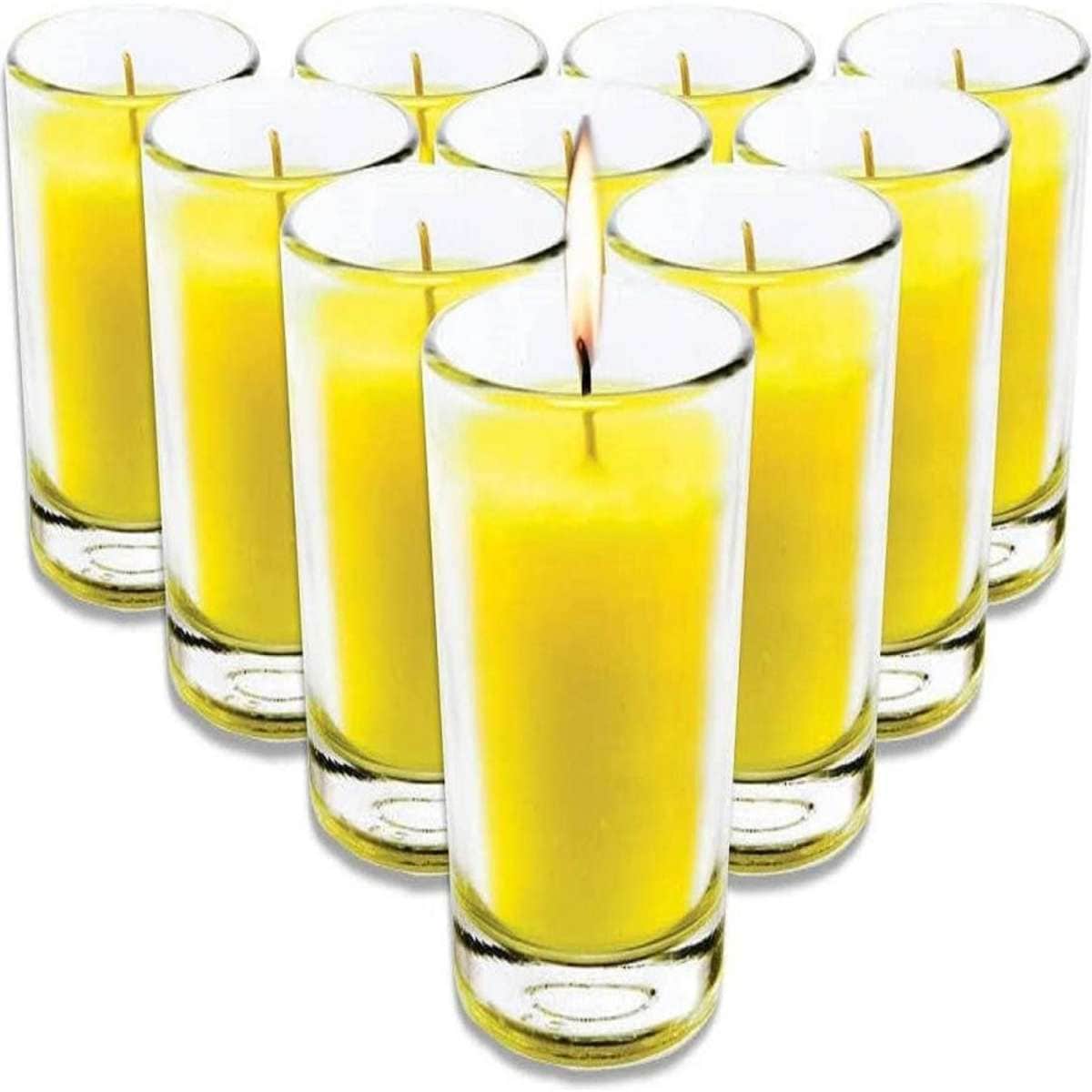 Garden Greens 10PCE Citronella Scented Tealight Candles In Glass