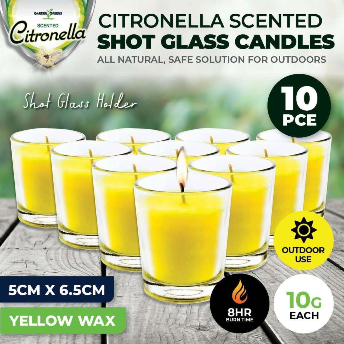Garden Greens 10PCE Citronella Scented Tealight Candles In Glass