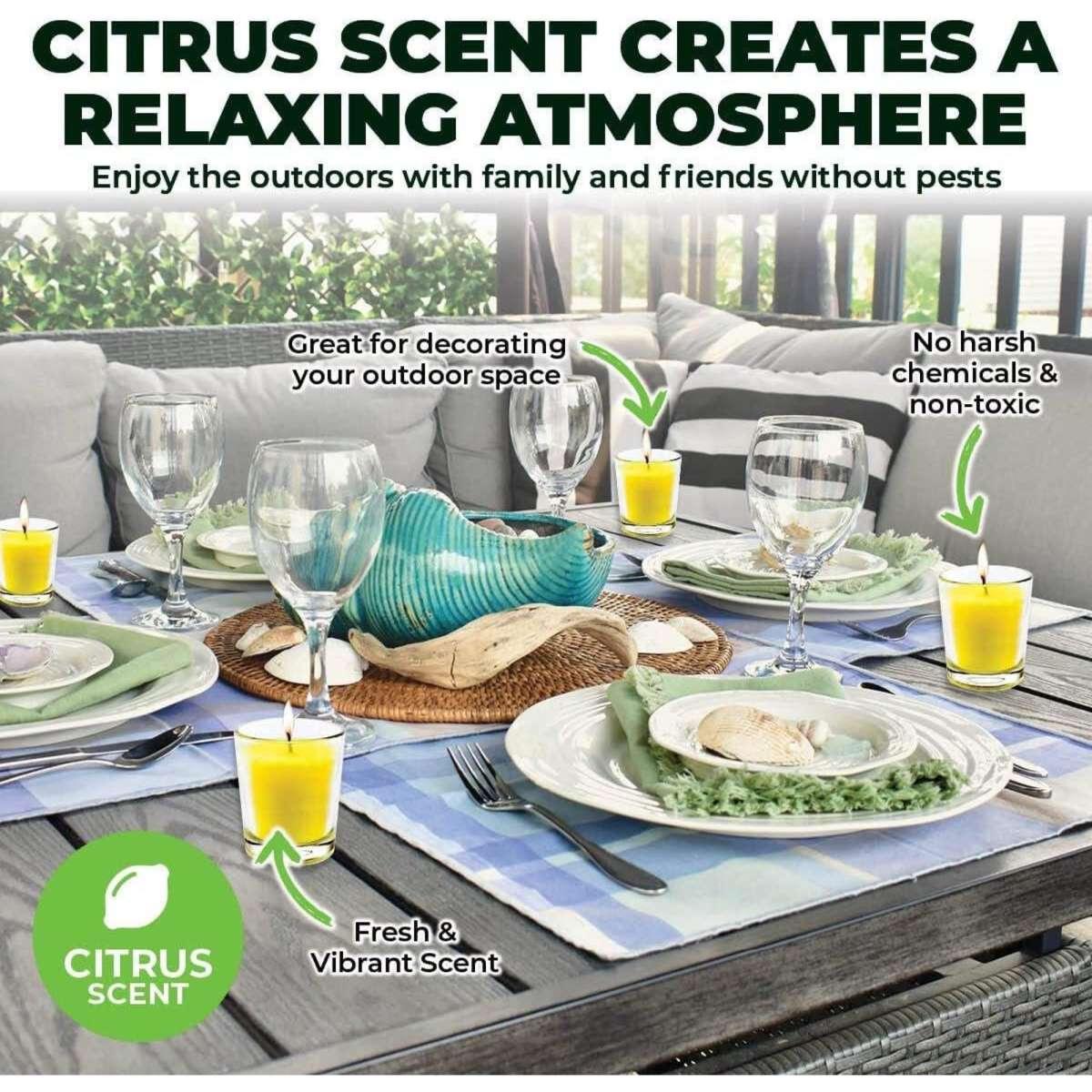 Garden Greens 10PCE Citronella Scented Tealight Candles In Glass