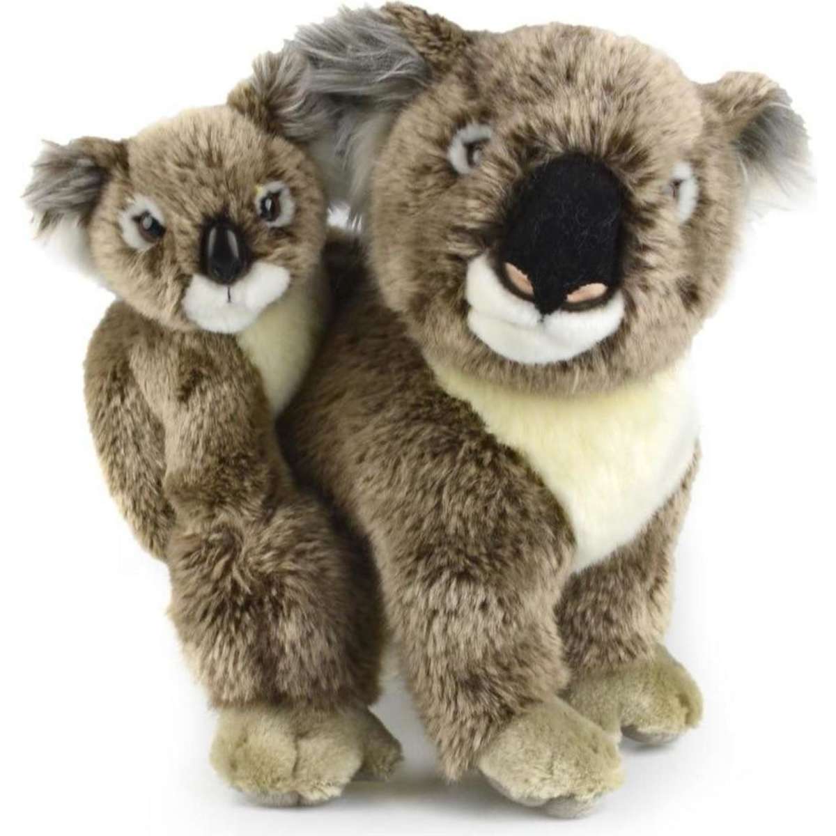 korimco koala