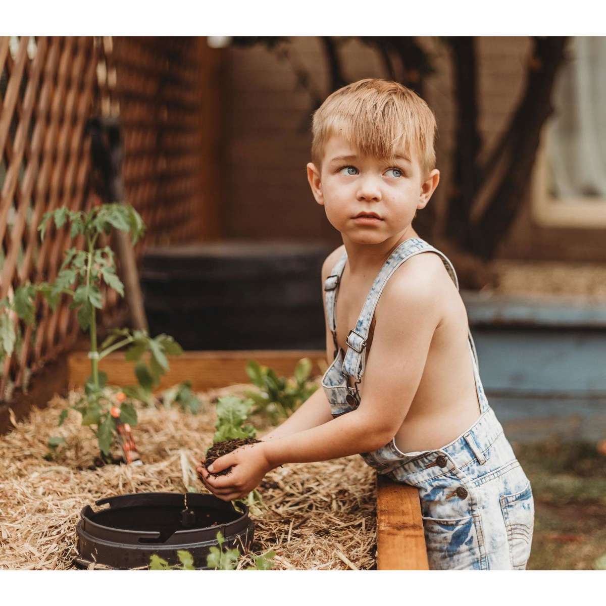 Tumbleweed Worm Buffet Inground Worm Farm Woolworths