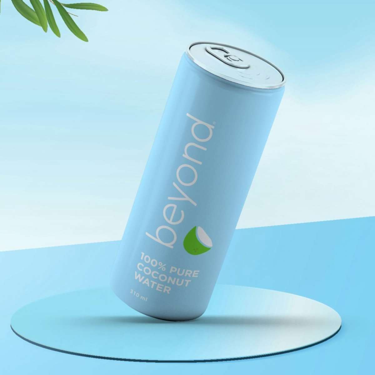 Beyond 100 Pure Still Coconut Water Cans 310ml 24PK Woolworths